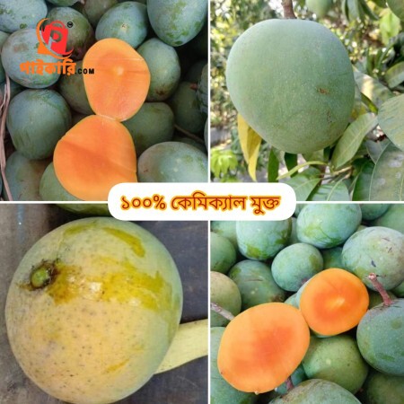 40 কেজি গোবিন্দভোগ আম 120 টাকা করে 4800 টাকা